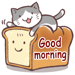 [LINEスタンプ] 毎日おはよう猫